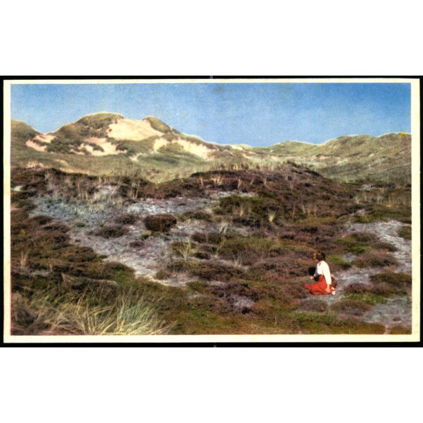 Klitparti - S�ndervig - Nr. 4 - Ubrugt