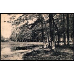 Aarhus - Skovdammen i Marselisborg Skov  - Stender 11994 - brugt