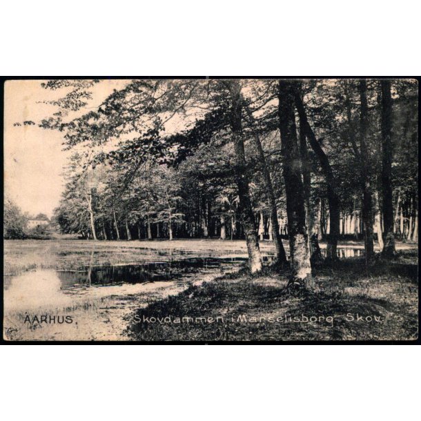 Aarhus - Skovdammen i Marselisborg Skov  - Stender 11994 - brugt