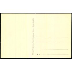 Bornholm - Lilleborg Ruiner - Almindingen - F. Srensens Bogh. 1150 - Ubrugt