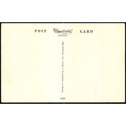 S.S. Reina Del Mar - Pacific Stam Navigation - Salmon 5339 - Ubrugt