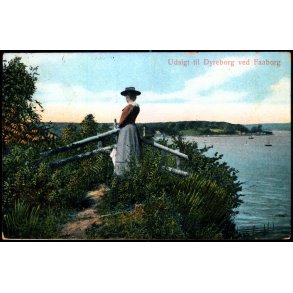 Udsigt til Dyreborg ved Faaborg - Alex Vincent 83 - Brugt