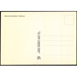 S�ler p� Sandbanker i Vadehavet - H. Ingwersen 1018 - Ubrugt