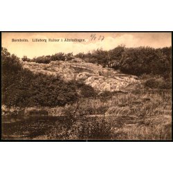 Bornholm - Lilleborg Ruiner - Almindingen - F. Srensens Bogh. 1150 - Ubrugt