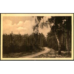 Fra Tisvilde Hegn - E. Ramlaus Bogh. u/n - Ubrugt