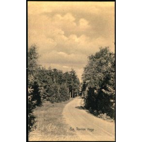 Fra Tisvilde Hegn - A. Jensens Bogh. u/n - Ubrugt