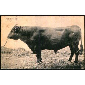 Karleby Top - Mackeprangs Bogh. u/n - Brugt