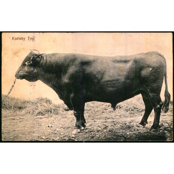 Karleby Top - Mackeprangs Bogh. u/n - Brugt