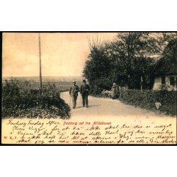 Faaborg set fra All�skoven - W.K.F. 727 - Brugt