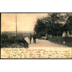 Faaborg set fra All�skoven - W.K.F. 727 - Brugt