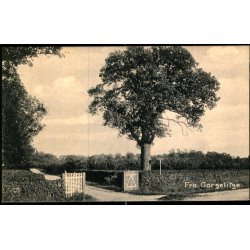 Fra Corselitze -  u/n - Ubrugt