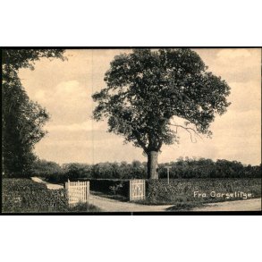 Fra Corselitze -  u/n - Ubrugt