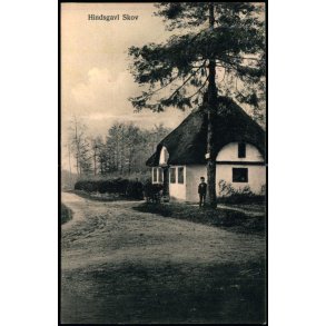 Hindsgavl Skov - Peter Alstrup 611 - Brugt
