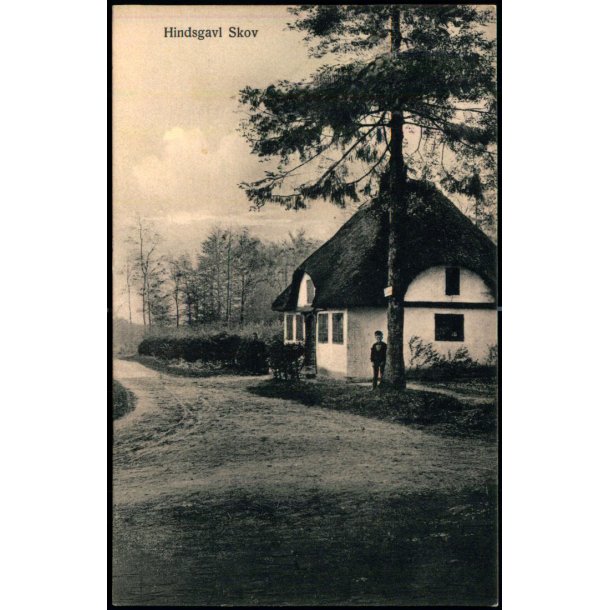 Hindsgavl Skov - Peter Alstrup 611 - Brugt