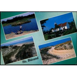 Partier fra Ho - Bl�vand - Wadmanns 93191 - Brugt