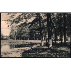 Aarhus - Skovdammen i Marselisborg Skov  - Stender 21994 - Brugt