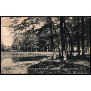 Aarhus - Skovdammen i Marselisborg Skov  - Stender 21994 - Brugt