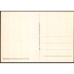 Bornholm - Hammershus Ruiner set fra st - Colbergs Bogh. 8225 - Ubrugt