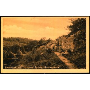 Bornholm - Ved Lilleborg Ruiner - Almindingen - F. Srensens Bogh. 2606 - Ubrugt
