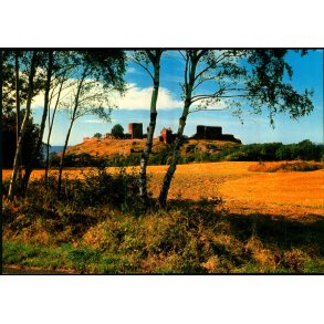 Bornholm - Hammershus Ruiner set fra st - Colbergs Bogh. 8225 - Ubrugt