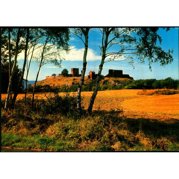 Bornholm - Hammershus Ruiner set fra st - Colbergs Bogh. 8225 - Ubrugt