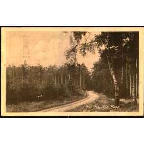 Fra Tisvilde Hegn - E. Ramlaus Bogh. u/n - Brugt