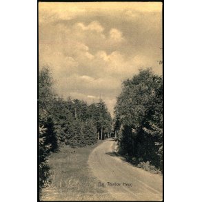 Fra Tisvilde Hegn - A. Jensens Bogh. u/n - Brugt