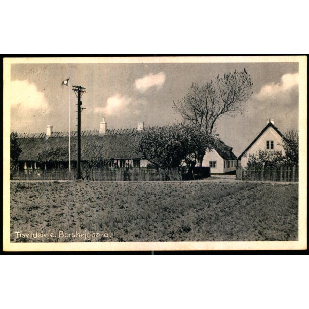 Borsh�jgaard - Tisvildeleje - P. Thuneby 19 - Brugt