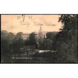 Brahetrolleborg - C. C. U. Johnsen Bogh. 3486 - Brugt