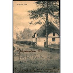 Hindsgavl Skov - Peter Alstrup 611 - Brugt