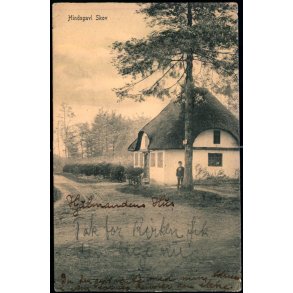 Hindsgavl Skov - Peter Alstrup 611 - Brugt