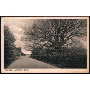 Taasinge - Ambrosius - Egen - Chr. G. Kielbergs Bogh. 25 - Ubrugt