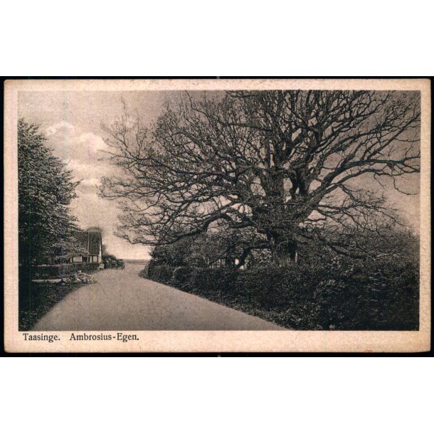 Taasinge - Ambrosius - Egen - Chr. G. Kielbergs Bogh. 25 - Ubrugt