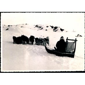 Hundeslde - Jocobshavn Foto u/n - Brugt