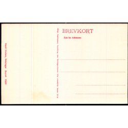 Frimurerlogen - Borgerskolen -  Helsing�r - K. Nielsen 20406 - Ubrugt