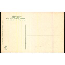 Kokkedal - Peter Alstrup 4178 - Ubrugt