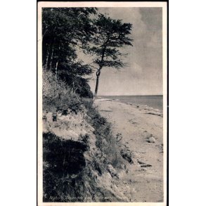 Nyborg Stranden ved Teglv�rksskoven  - Stender N. 305 - Brugt