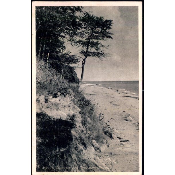 Nyborg Stranden ved Teglv�rksskoven  - Stender N. 305 - Brugt