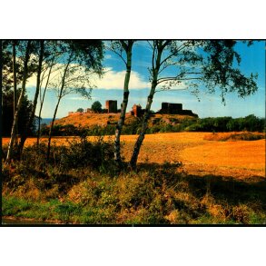 Bornholm - Hammershus Ruiner set fra st - Colbergs Bogh. 8225 - Brugt