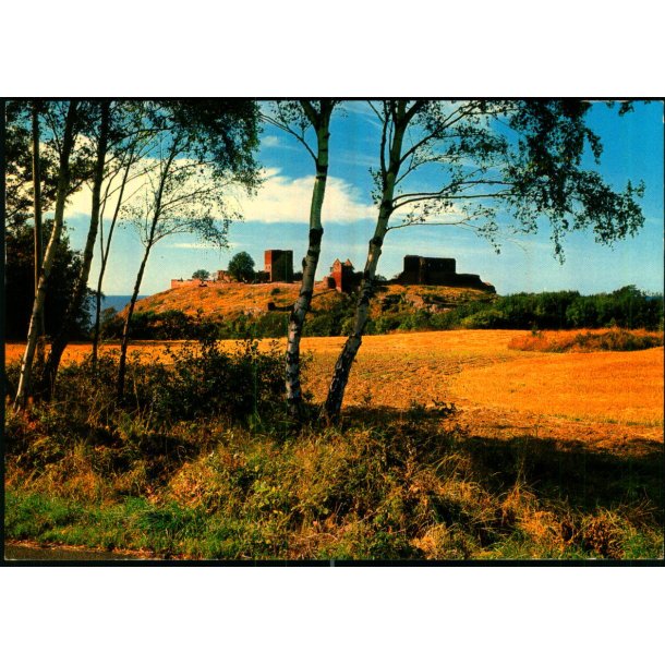 Bornholm - Hammershus Ruiner set fra st - Colbergs Bogh. 8225 - Brugt