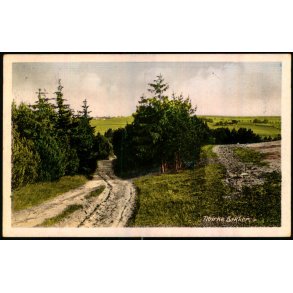 Tibirke Bakker - Rudolf Olsen 4667 - Brugt