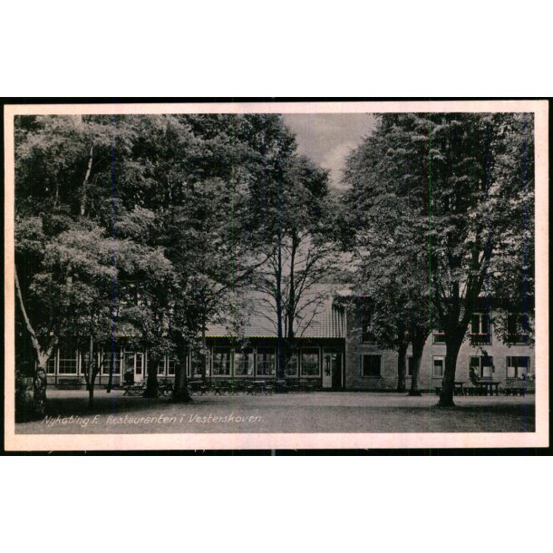 Nyk�bing F. - Restauranten i Vesterskoven - Mackeprangs Bogh. 278 - Ubrugt