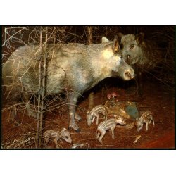 Jagt og Skovbrugsmuseet - Gr�nlund 951 - Ubrugt