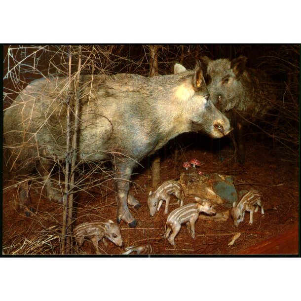 Jagt og Skovbrugsmuseet - Gr�nlund 951 - Ubrugt