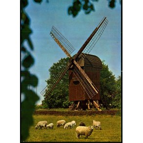 Stubmlle fra Karlstrup p sjlland - Frilandsmuseet - Grnlund 9981 - Ubrugt