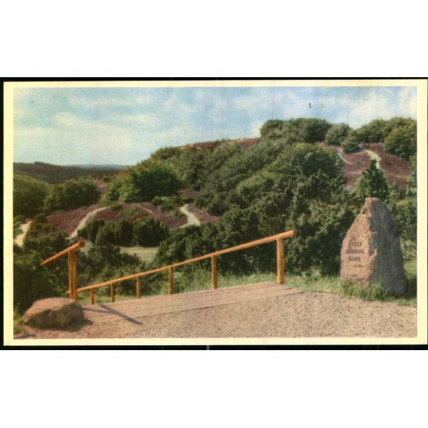 Nedgangen til Rebild Nationalpark - Stender 2 - Ubrugt