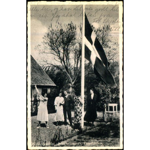 Feriehjemmet "Borsh�jgaard" - Tisvildeleje - H.K. 7603 - Brugt