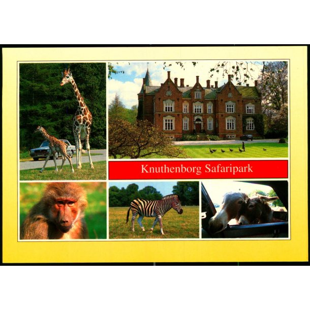 Knuthenborg Safari Park - Trojaborg MARI 11 - Ubrugt