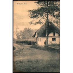 Hindsgavl Skov - Peter Alstrup 611 - Ubrugt