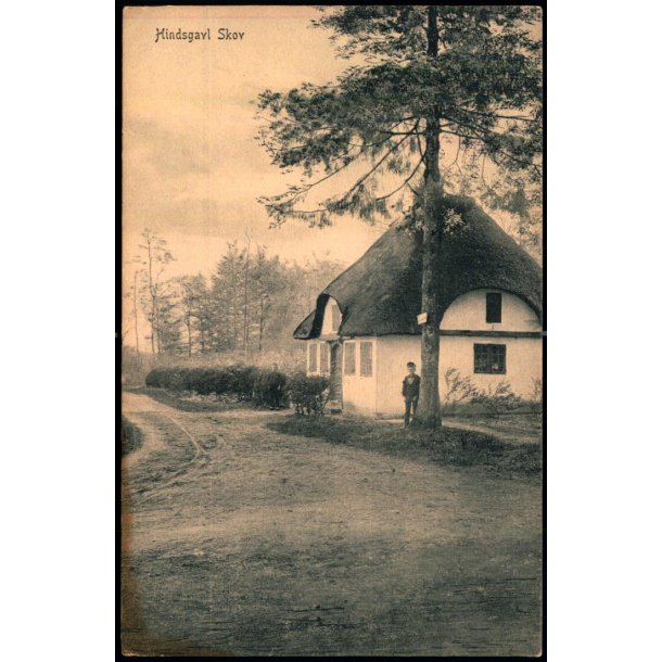 Hindsgavl Skov - Peter Alstrup 611 - Ubrugt